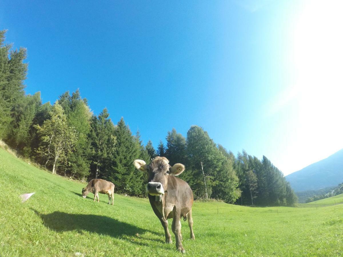 Toetscherhof Terento Luaran gambar