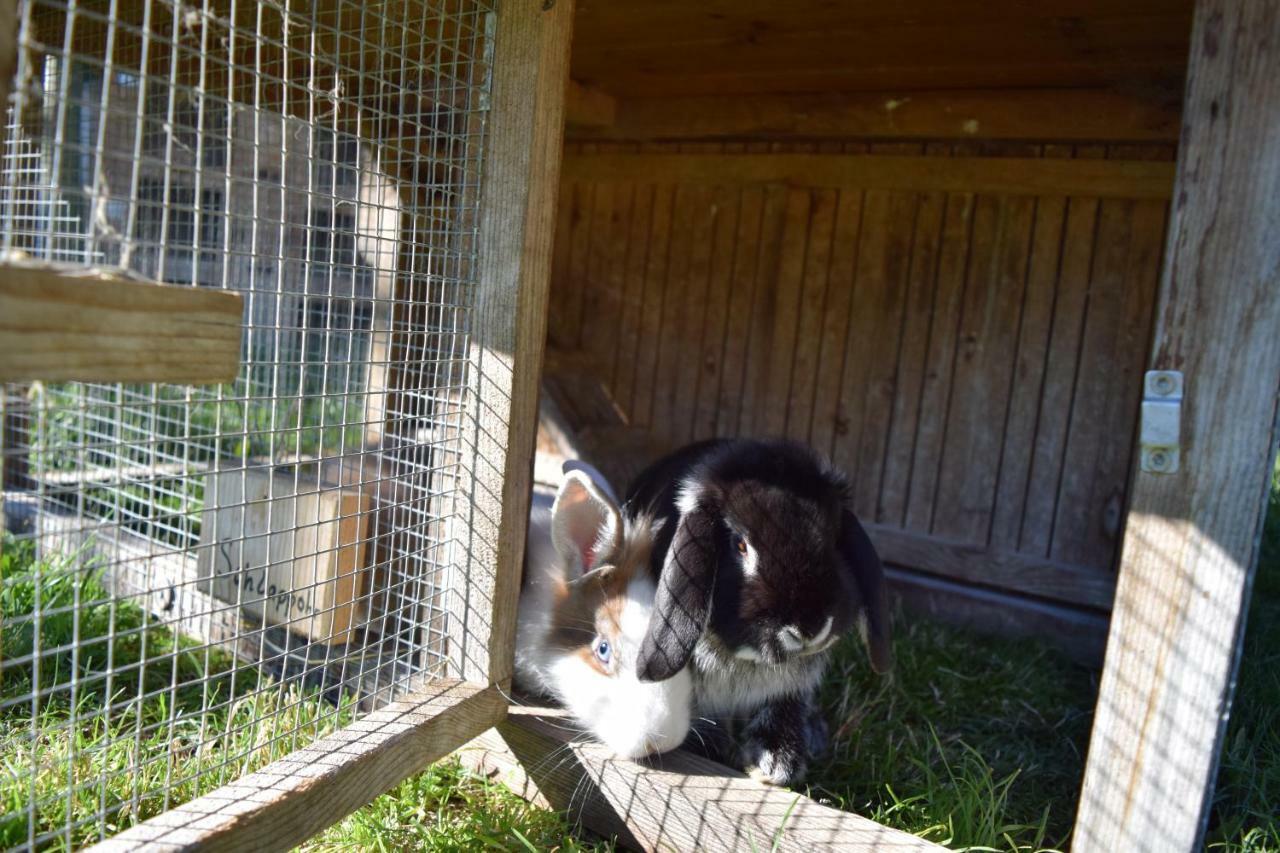 Toetscherhof Terento Luaran gambar